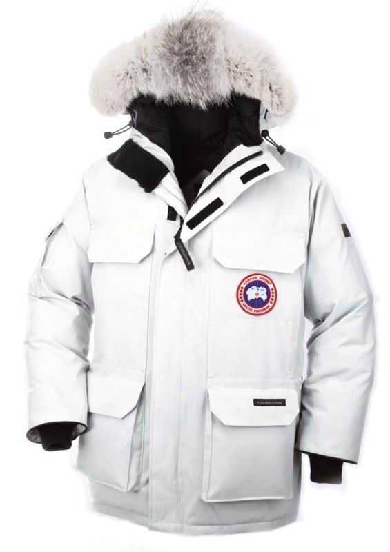 Expedition Parka Mens Gream Canada Goose cheap